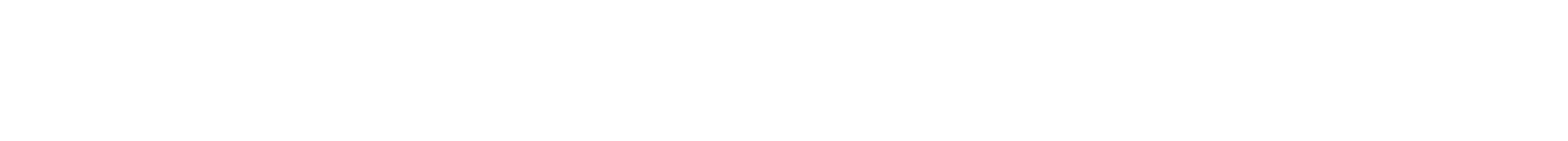 Gutter Cleaning Authority